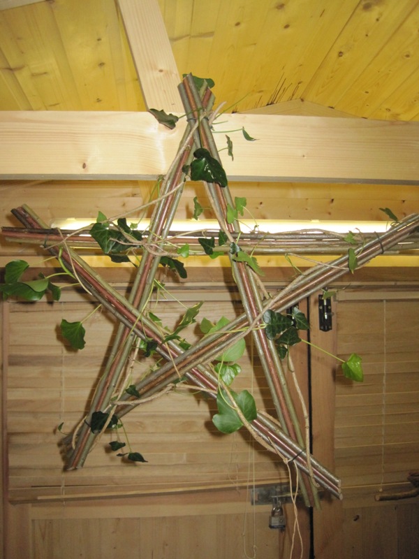 willow star